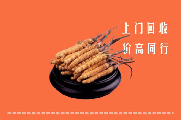 高价求购：张家界回收散虫草