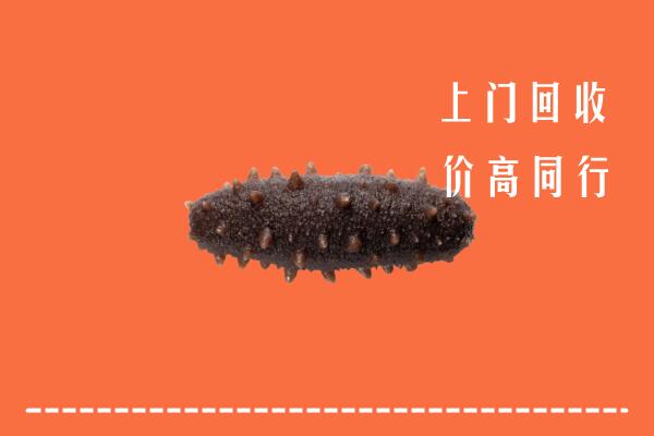 张家界高价回收海参