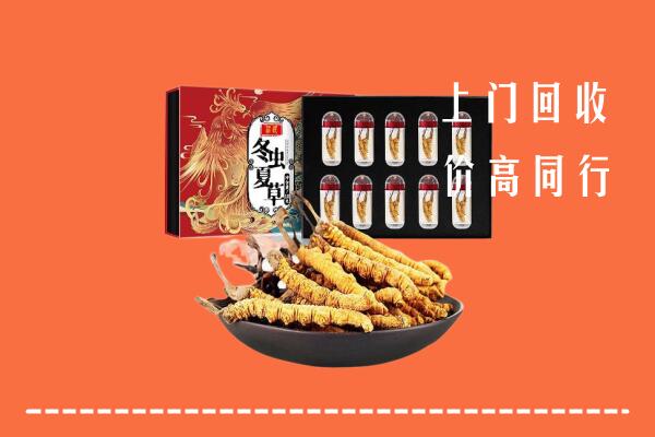 收购行情：张家界回收虫草